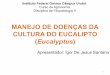 Manejo de Doencas do Eucalipto - Igor de Jesus Santana - Prof. Milton L. Paz Lima