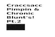 Craccsacc pimpin & chronic blunt's pt.2 html_files.doc