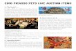 2016 PICASSO PETS LIVE AUCTION ITEMS