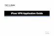 IPsec VPN Application Guide