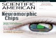 Neuromorphic Microchips