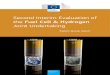 Second Interim Evaluation of the Fuel Cell & Hydrogen Joint 