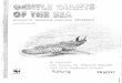Gentle giants of the sea: India's Whale Shark Fishery (Scanned PDF 