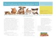 Pharm Phacts: For You And Your Pet