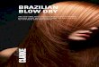 BRAZILIAN BLOW DRY - Nicky Clarke