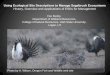 Using Ecological Site Descriptions to Manage Sagebrush 