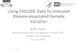 Introduction to ENCODE Data: Overview of ENCODE Data Types