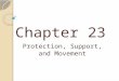 Chapter 23 Protection, Support, and Movement