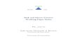 Risk and Macro Finance Working Paper Series No. 2015-02 Safe 