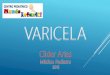 Varicela 2016