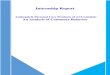 Internship Report On Savlon -Compiled-