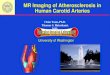 153 mr imaging of atherosclerosis