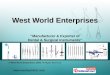 Surgical Instruments by West World Enterprises, Delhi, New Delhi