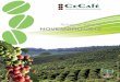 CECAFÉ - Resumo das Exportações de Café NOVEMBRO 2015