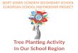 Tree Planting Activity In Our School Region