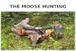 The Moose Hunting - Wildewood On Lake Savant