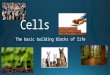 Cells pp lesson