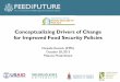 Conceptualizing Drivers of Change for Improved Food Security Policies