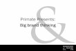 Primate presents: Ed Waterston talks big brand campaigns | Campaigns for Charities