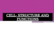 Cell -Structure and functions