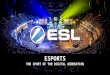 Michael Bister: E Sports - The Sport of the Digital Generation
