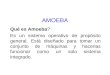Amoeba 100716124109-phpapp01 (1)