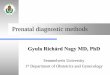 Gyula Richard Nagy: Prenatal diagnostic methods