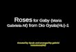 Roses for gaby from gyula 1