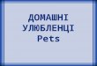 Pets / Домашні улюбленці (The Lesson of Ukrainian Language)