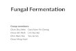 (Group9)fungus fermentation