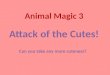 J20 animal magic 3 attack of the cutes!