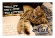 Virality is Not For Kittens (For Cal) - Draft
