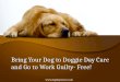 Bring your dog to doggie day care and go to work guilty  free!