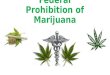 The end of the federal prohibition on marijuana