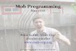 Mob Programming (2016)