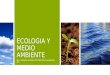 Ecologia y medio ambiente-encuadre