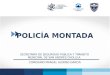 POLICIA MONTADA San Andrés Cholula