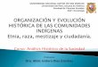 analisis historico de la sociedad analisis historico de la sociedad analisis historico de la sociedad teoria organizaciones indigenas