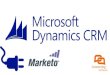 Dynamics CRM integration with Marketo