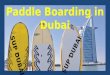 Paddle Boarding in Dubai