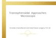 016 Transsphenoidal approch microscopic