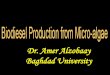 Biodiesel production from micro-algae