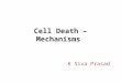 Cell Death Mechanisms
