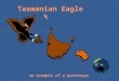 Tasmanian Eagle Geopark, an example of a geopark prototype
