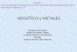 Neolítico y Metales