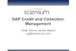 Sap credit-and-collection-management