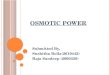 Osmotic Power