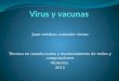 Virus y vacunas diapositivas