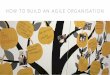 How to build an agile organisation