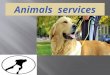 Animals  services